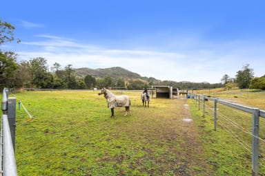 Property 309 Upper Coomera Road, Canungra QLD 4275 IMAGE 0