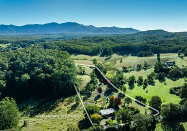 Property 39 Reids Road, BELLINGEN NSW 2454 IMAGE 0