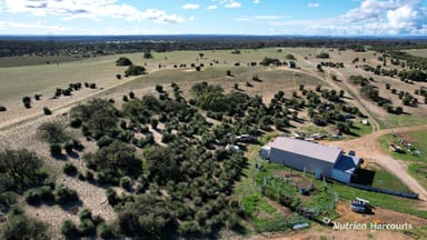 Property Lot 249 Nabaroo Road, COWALLA WA 6503 IMAGE 0