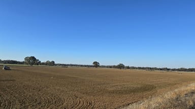 Property 823 Toolamba Road, TOOLAMBA VIC 3614 IMAGE 0