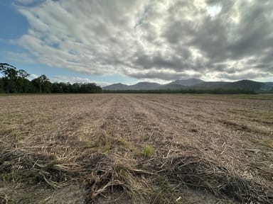 Property Bilyana QLD 4854 IMAGE 0