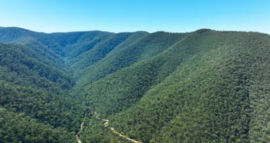 Property CA 9 Sec 20 Wonnangatta Road, Dargo VIC 3862 IMAGE 0