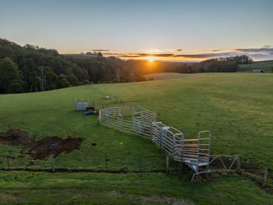 Property 822 Mount Hicks Road, Mount Hicks TAS 7325 IMAGE 0