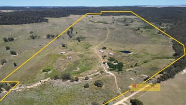 Property 1/1921 Barneys Reef Road, Gulgong NSW 2852 IMAGE 0