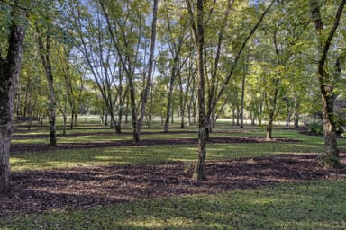Property 299 Brays Creek Road, PUMPENBIL NSW 2484 IMAGE 0