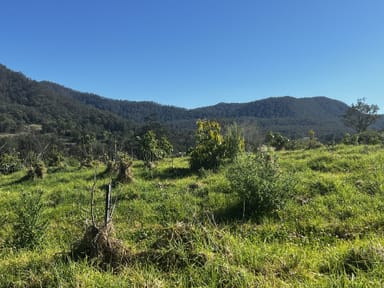 Property 842 Green Pigeon Road, Kyogle NSW 2474 IMAGE 0