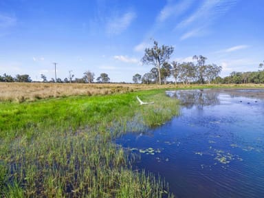 Property LOWER WONGA QLD 4570 IMAGE 0