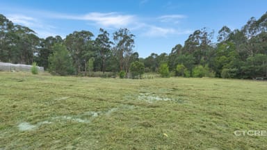 Property 181 Tamboon Road, Cann River VIC 3890 IMAGE 0