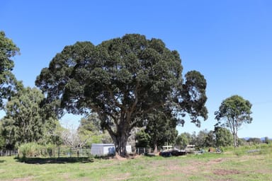 Property 34 Bonnick Road, Gunalda QLD 4570 IMAGE 0