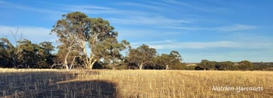 Property Caroling Bally-Bally Road, Morbinning WA 6304 IMAGE 0