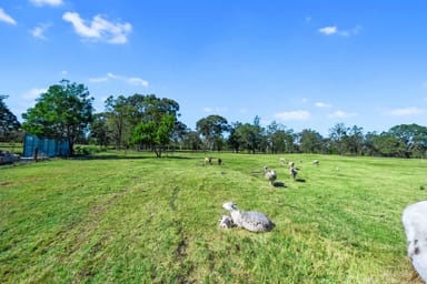 Property lot 41, 50 Persoonia Avenue, Agnes Banks NSW 2753 IMAGE 0