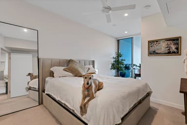 Property 2406, 19 Kombi Street, Bokarina QLD 4575 IMAGE 0