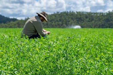 Property 'Turner Downs' 502 Oakfield Road, Tansey QLD 4601 IMAGE 0