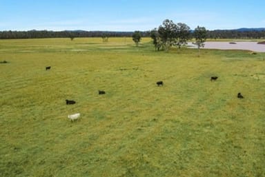 Property 770 Myrtle Creek Road, Rappville NSW 2469 IMAGE 0