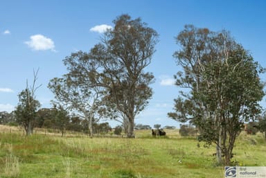 Property 6 Stringybark Place, Manton NSW 2582 IMAGE 0