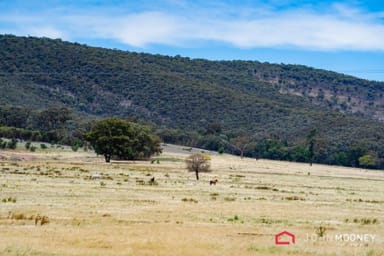 Property Gap Road Gap Road, The Rock NSW 2655 IMAGE 0