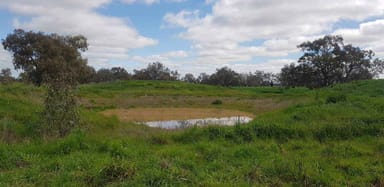 Property C/A 12 & 13 Elmore-Mitiamo Road, MILLOO VIC 3572 IMAGE 0