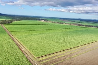 Property Lot 94 Coach  Road, Majors Creek QLD 4816 IMAGE 0