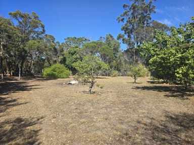 Property Lot 244, 15 Deane Street, MOUNT BARKER WA 6324 IMAGE 0