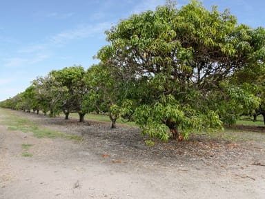 Property 3, Bartlett Road, HORSESHOE LAGOON QLD 4809 IMAGE 0