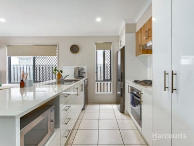 Property 13 Cygnet Street, Fitzgibbon QLD 4018 IMAGE 0