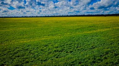 Property 'Snowies' Plemings Lane, COOLAMON NSW 2701 IMAGE 0