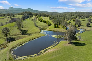 Property 703 Brays Creek Road, Brays Creek NSW 2484 IMAGE 0