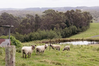 Property 89 Golden Flats Lane, Conjola NSW 2539 IMAGE 0