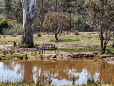Property 856 Hungry Flats Road, Colebrook TAS 7027 IMAGE 0