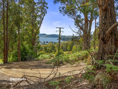 Property Lot 1 Jarvis Road, SNUG TAS 7054 IMAGE 0