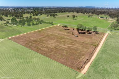 Property 212, 2311 Henty-Pleasant Hills Road, Henty NSW 2658 IMAGE 0