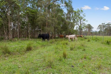 Property 46 Booral Road, BULAHDELAH NSW 2423 IMAGE 0