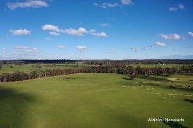 Property . Collett's & Myer's, MANJIMUP WA 6258 IMAGE 0