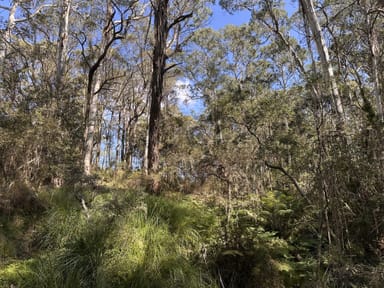 Property 124 Gumms Road, HAROLDS CROSS NSW 2622 IMAGE 0
