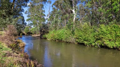Property 2339 Maroondah Highway, Buxton VIC 3711 IMAGE 0