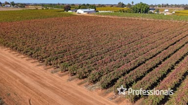 Property 225 Stewart Road, Red Cliffs VIC 3496 IMAGE 0