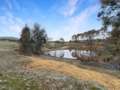 Property 1745 McCallums Creek Road, Mount Glasgow VIC 3371 IMAGE 0