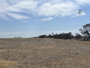 Property Lot 20248 & 26548 Doherty Road, South Kununoppin WA 6489 IMAGE 0