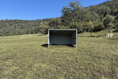 Property Lot 1 Giants Creek Road, Sandy Hollow NSW 2333 IMAGE 0