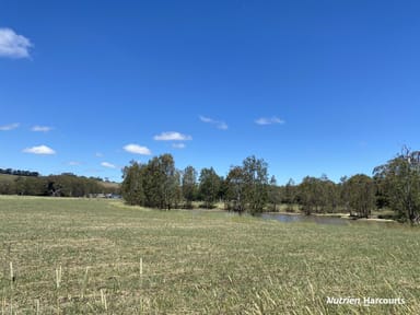 Property Lots 3 & 4 Newtons Road, CASTERTON VIC 3311 IMAGE 0