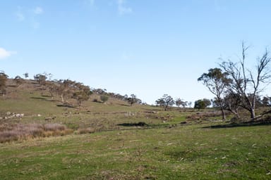 Property 1031 Cootralantra Road, Cooma NSW 2630 IMAGE 0