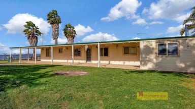 Property 1599 Cope Road, Gulgong NSW 2852 IMAGE 0