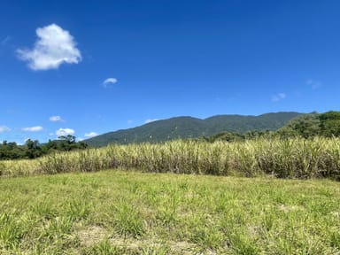 Property 284 Whyanbeel Road, Whyanbeel, MOSSMAN QLD 4873 IMAGE 0