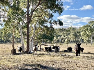 Property 3814 Oallen Ford Road, Windellama NSW 2580 IMAGE 0