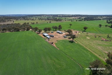 Property 213 Mclachlans Lane, Inverell NSW 2360 IMAGE 0