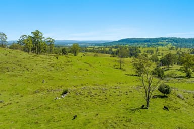 Property 807 Tunglebung Creek Road, TUNGLEBUNG NSW 2469 IMAGE 0