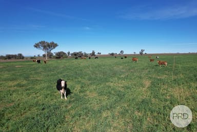 Property 42 Jenners Lane, TAMWORTH NSW 2340 IMAGE 0