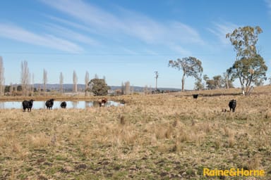 Property 435 Shannon Vale Road, SHANNON VALE NSW 2370 IMAGE 0