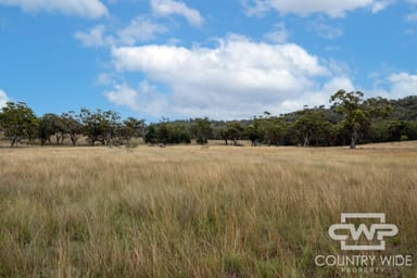 Property 137, 4108 Tent Hill Road, EMMAVILLE NSW 2371 IMAGE 0
