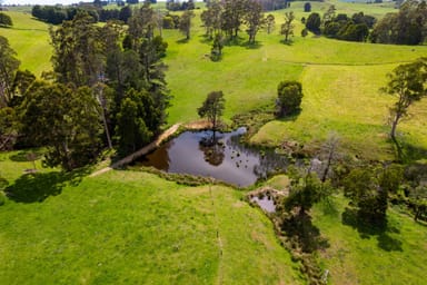 Property 141 Sledge Track, WEST SCOTTSDALE TAS 7260 IMAGE 0